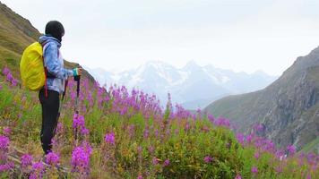 Side view tracking fit sporty female hiker with nordic walk sticks stand on viewpoint uphill in green hiking trail in caucasus mountains .Recreational activities and healthy lifestyle video