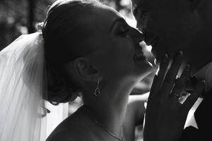 Beautiful wedding couple posing in silhouette photo