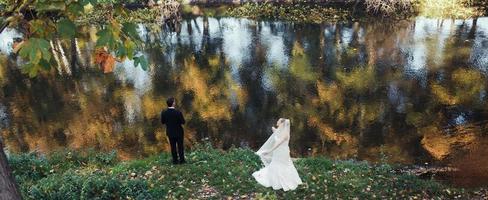 hermosa pareja de novios posando en el bosque foto