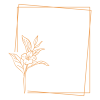 cadre floral minimaliste png