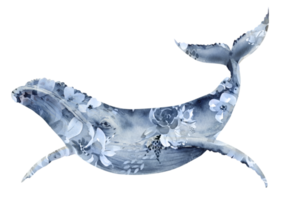 ilustração em aquarela de uma grande baleia azul com estampa floral. pintado à mão . png