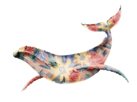 watercolor illustration of a large blue whale with multicolored floral print. hand painted . png