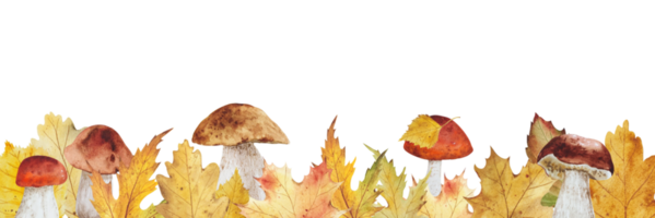 aquarelle de bordure de feuilles d'automne png