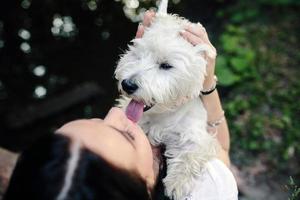 girl with her dog photo