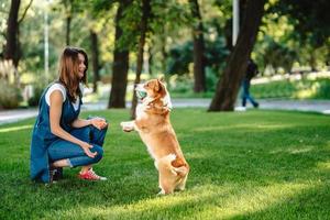 Portrait of woman with dog Welsh Corgi Pembroke in dog park photo