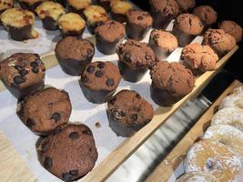 Lines of delicious chocolate and vanilla muffins Freshly baked homemade chocolate chip muffins photo