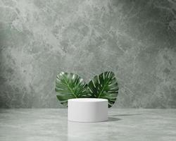 Podio de plataforma de representación 3d con fondo de presentación de producto de planta monstera foto