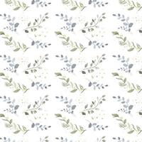 pattern with watercolor plants on white background vector