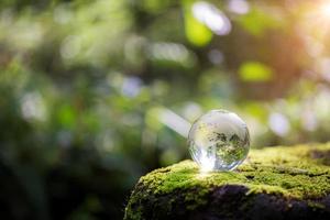 Globe planet glass In green forest with bokeh nature lights. world environment day. concept for environment conservation, protect ecology earth and environmental eco-friendly life with copy space photo