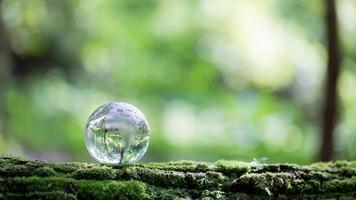 globo planeta cristal en bosque verde con luces de naturaleza bokeh. día Mundial del Medio Ambiente. concepto para la conservación del medio ambiente, proteger la ecología de la tierra y la vida ecológica con espacio de copia foto