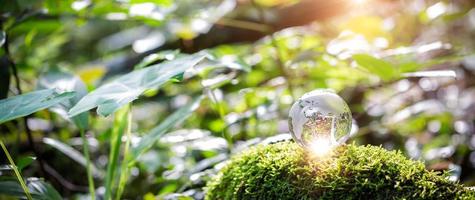 Globe planet glass in green forest with bokeh nature lights. world environment day. concept of environment conservation, protect ecology earth and environmental eco-friendly life banner and copy space photo