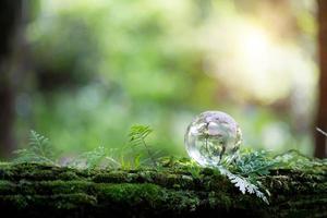 Globe planet glass In green forest with bokeh nature lights. world environment day. concept for environment conservation, protect ecology earth and environmental eco-friendly life with copy space photo