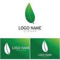 Green leaf illustration nature logo design vector