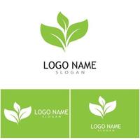 Green leaf illustration nature logo design vector