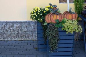 decoración en el patio para halloween.calabazas de madera naranja, flores en cajas de madera gris foto