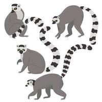 Set of ring tailed lemurs isolated on a white background. Vector graphics.