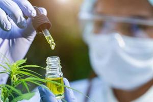 retrato de científico con máscara, gafas y guantes investigando y examinando aceite de cáñamo en un invernadero. concepto de medicina alternativa a base de hierbas, aceite de cbd, industria farmacéutica foto