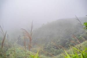 Landscape with the Heavy fog on Chang suek Hill the border between Thailand-myanmar near etong village Thongphaphum district kanchanaburi city Thailand. photo