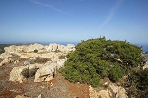 Akamas Peninsula, Cyprus, Europe photo
