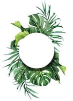 watercolor drawing. round frame with tropical palm leaves, banana monstera. vector