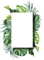 watercolor drawing. rectangular frame with tropical palm leaves, monstera banana. vector