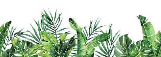 watercolor drawing. horizontal seamless border with tropical leaves. banner with green palm leaves, monstera vector