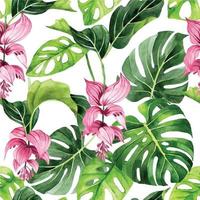watercolor seamless pattern with tropical flowers and leaves. pink flowers and green leaves of medinilla magnifica on white background vector