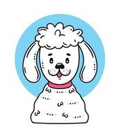 french poodle dog vector