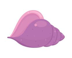 lilac sea shell vector