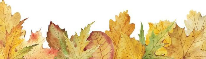 Watercolor autumn leaves border vector