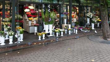 urban flower market in Riga city photo