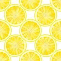 Seamless pattern with lemon slices iIlustration on a white background vector