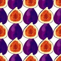 Seamless pattern with iIllustration of a figs on a white background vector