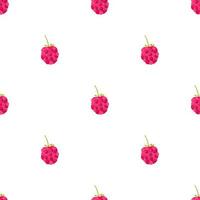 Seamless pattern with illustration of raspberry on a white background vector