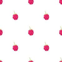 Seamless pattern with illustration of raspberry on a white background vector