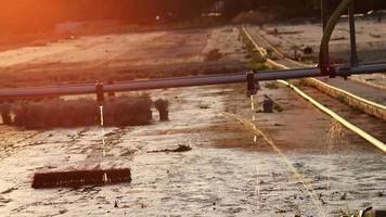 Dripping irrigation system with dripping water from sprinkler on farmland with cultivated plants in evening sunset shows water shortage and drought as extreme weather danger for agricultural harvest video