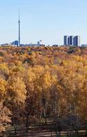 vista de la torre de televisión y el bosque de otoño foto