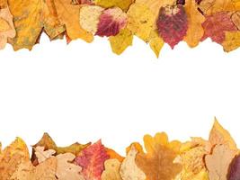 marcos superior e inferior de hojas de otoño caídas foto