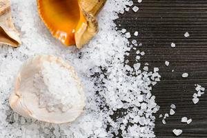 coarse grained Sea Salt and shells on table photo