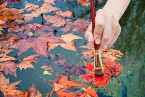 paintbrush paints maple leaves in red colour photo