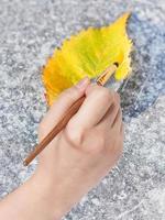 paintbrush paints fallen leaf in yellow colour photo