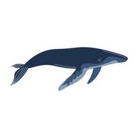 animales ballena azul vector