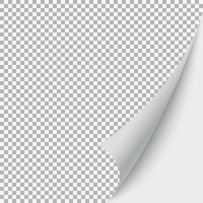 blank page vector illustration