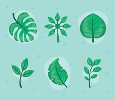 seis iconos botánicos y de la naturaleza vector