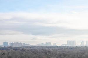 bosque y ciudad en el horizonte en la fría mañana de invierno foto