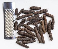 java long pepper with grater close up on gray photo