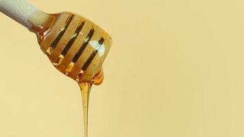 Honey dripping from a honey dipper. Healthy eating diet sustainable lifestyle concept. Close up shot with copy space. video