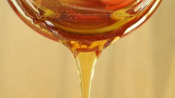 Nahaufnahme von Honig, der aus Glas gießt. gesundheits- und schönheitsprodukt nachhaltiges lebensstilkonzept. video