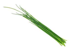 several fresh leaves of Chives isolated on white photo