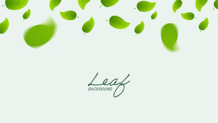 Realistic falling green leaves on long white banner. Flying green leaf background.